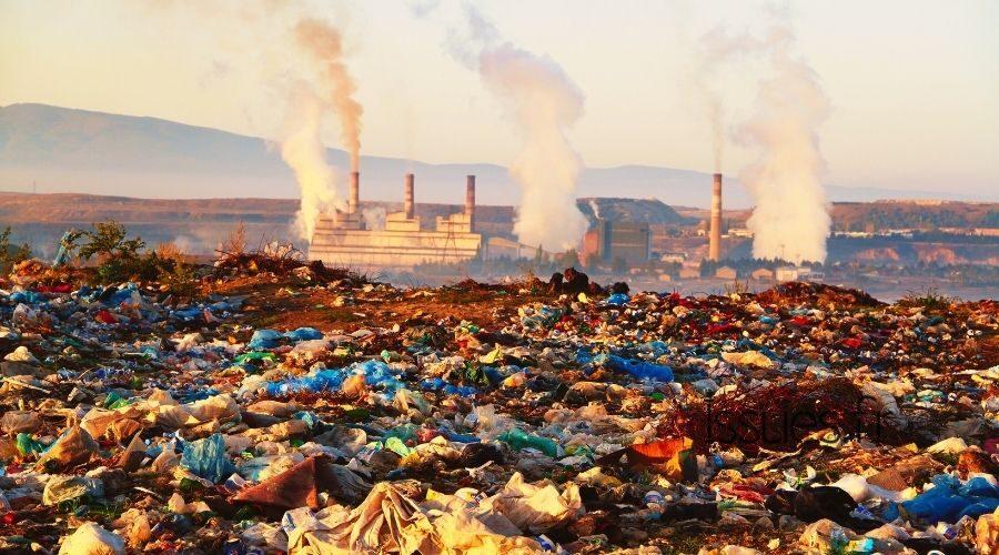 Does Pollution Destroy Biodiversity?