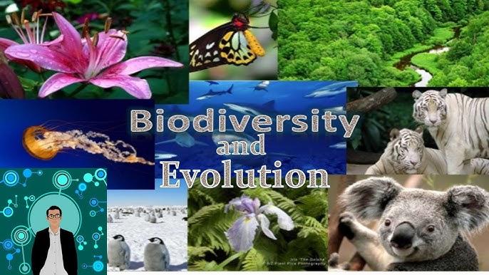 Genetic Mutation: The Source of Biological Diversity and Evolution