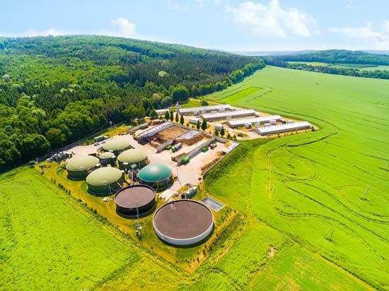 Biomass: A Renewable Source of Energy