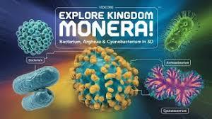 Kingdom Monera