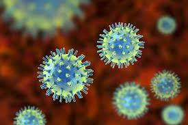 Are Viruses True Living Organisms?