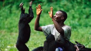 Do Monkeys Have Similarities with Humans?