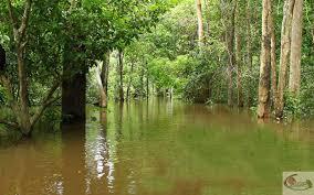 Biodiversity in Water