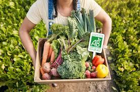 La sécurité alimentaire dans le monde