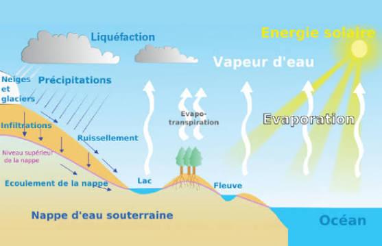 The Water Cycle