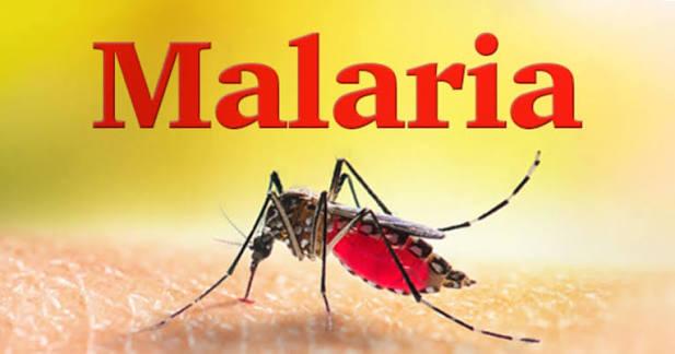 Diagnosis of Malaria
