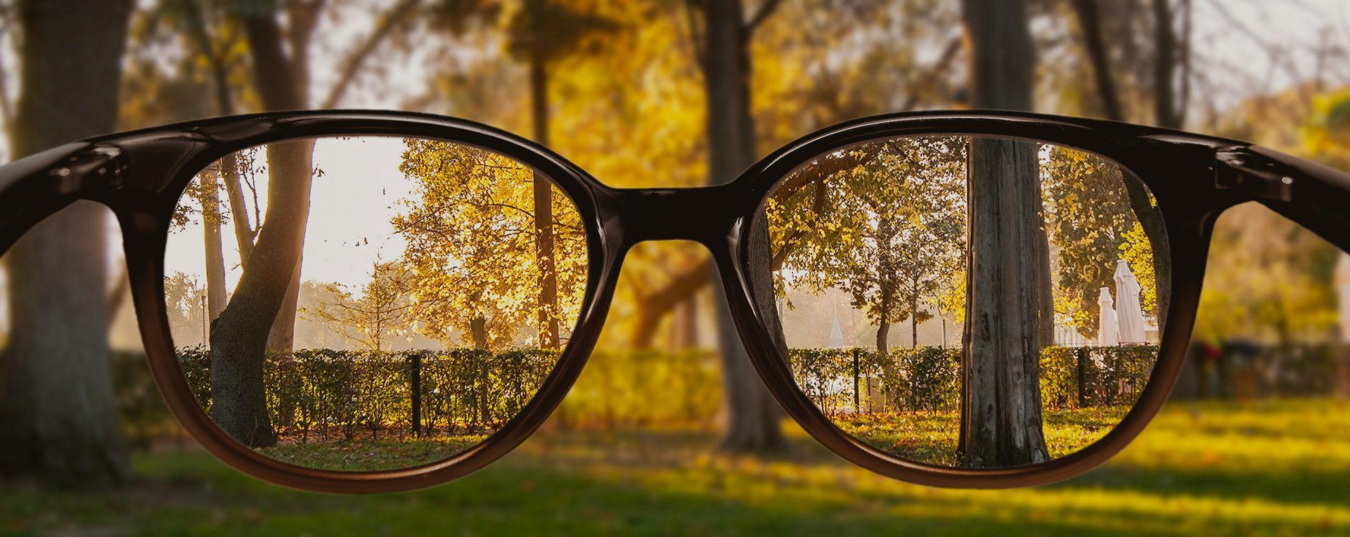 Myopia