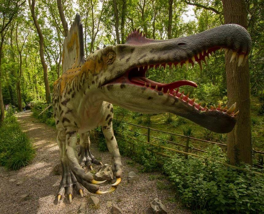 The Extinction of Dinosaurs